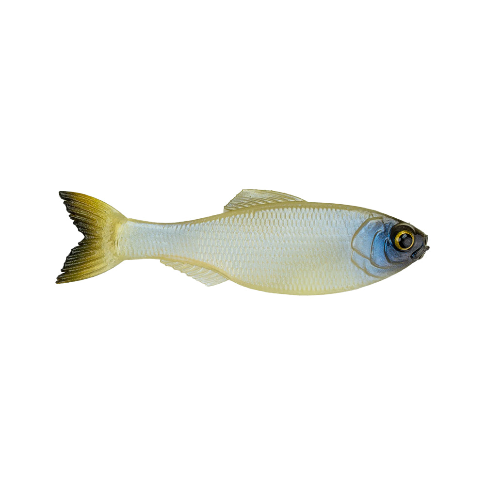 The 6th Sense Panorama Baitfish by 6th Sense, resembling a real baitfish with yellow-tinted tail and fins, silvery scales, and a blueish eye, is shown against a white background—perfect for bass fishing.
