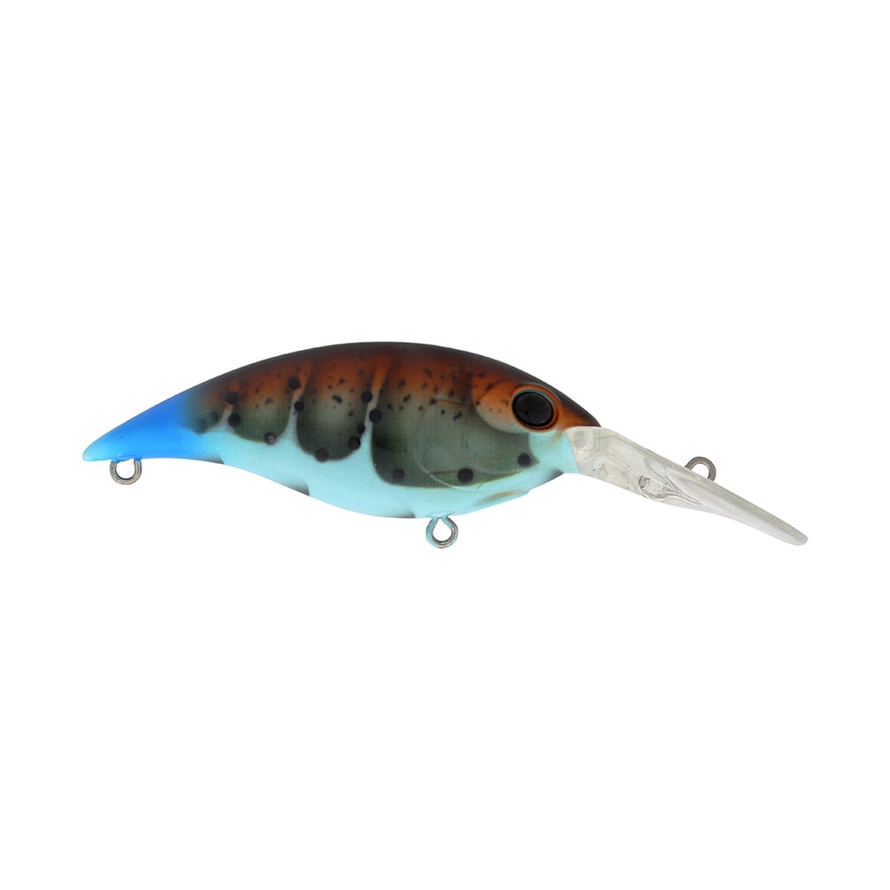 Berkley Money Badger 4 Bundle 6 Pack Assorted Colors