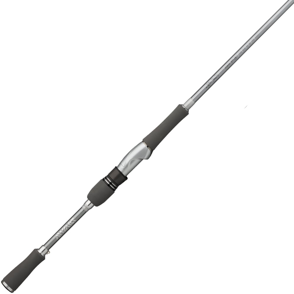 daiwa fishing poles Daiwa Tatula Elite AGS Spinning Rod