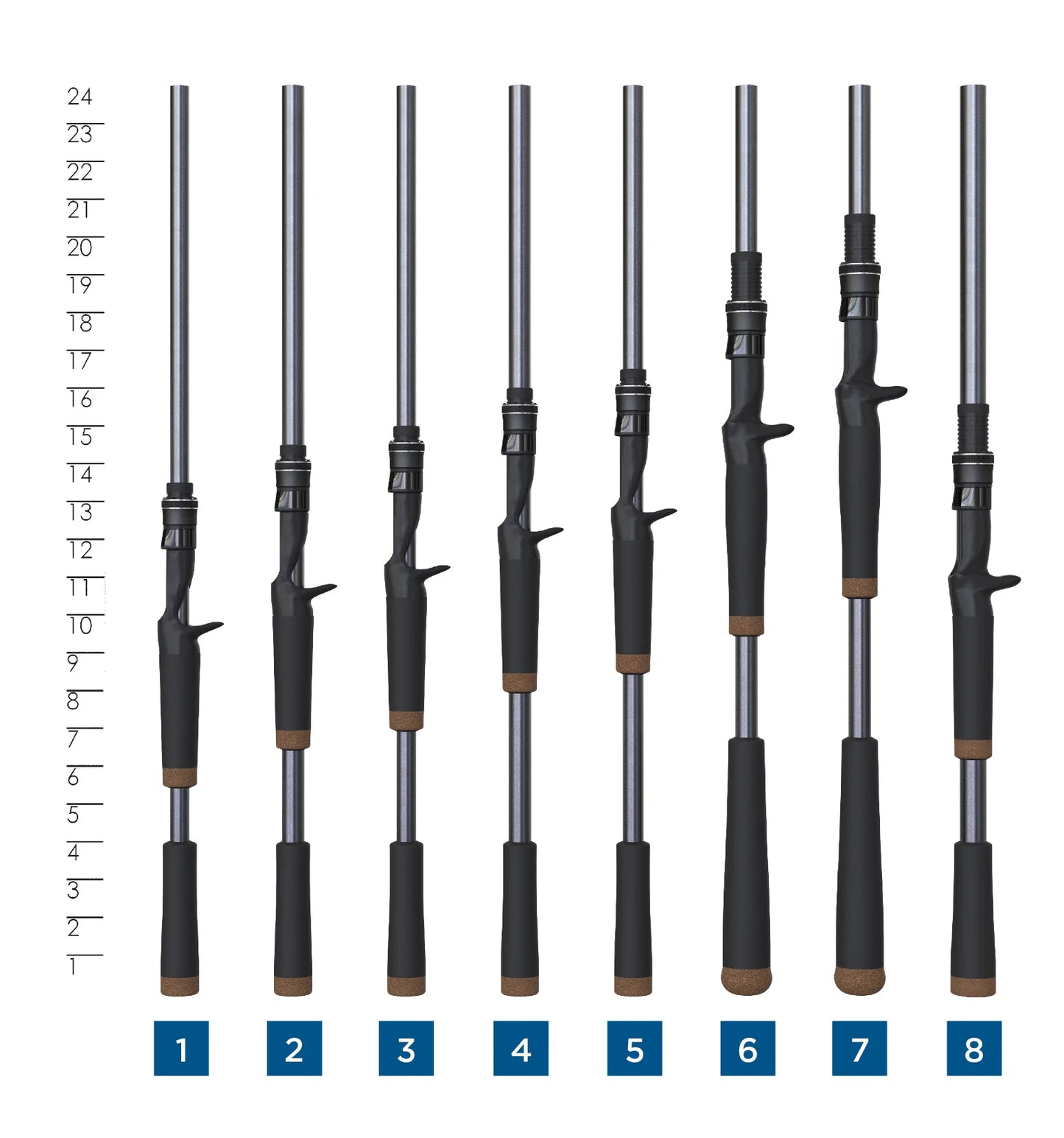 Eight fishing rod handles, including the St. Croix Black Bass Casting Rod 7'5" Medium Heavy (RIC75MHF), stand upright side by side. A vertical ruler on the left marks 8 to 24 inches, with handles numbered 1 to 8 at the bottom.