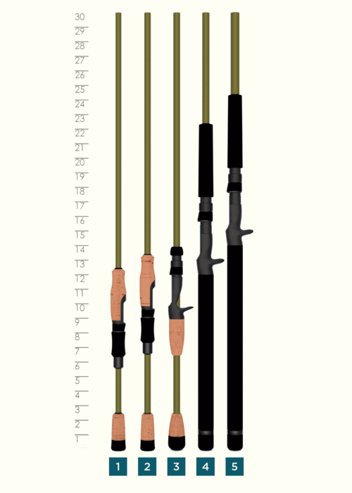 Five walleye rods, including the St. Croix Eyecon 7'0" Medium Trolling Rod (ET70MM), stand vertically by a ruler marked 10”–30”. Their handles and reel seats differ in design and material, with each rod labeled 1 to 5 at the bottom.