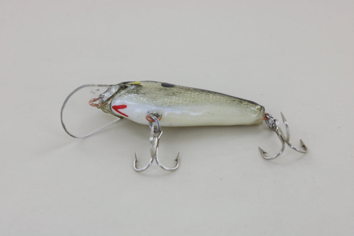 WE Baits #3 Black Back Belly