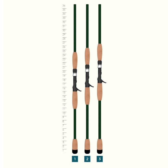 Three St. Croix Legend Elite Musky 8'0" Medium Heavy Casting Rods (LEM80MHF) with green shafts and tan handles stand vertically beside a 9–36 inch height chart labeled 1, 2, and 3—perfect for devoted musky anglers.