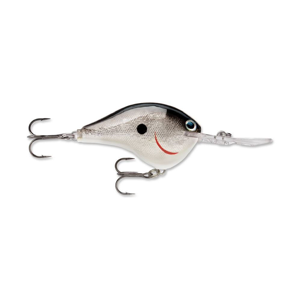 A Rapala DT10 Series Crankbait by Rapala, shaped like a fish with a white and gray body, black top, blue eye, red curved mouth stripe, and two treble hooks is shown isolated on a white background.