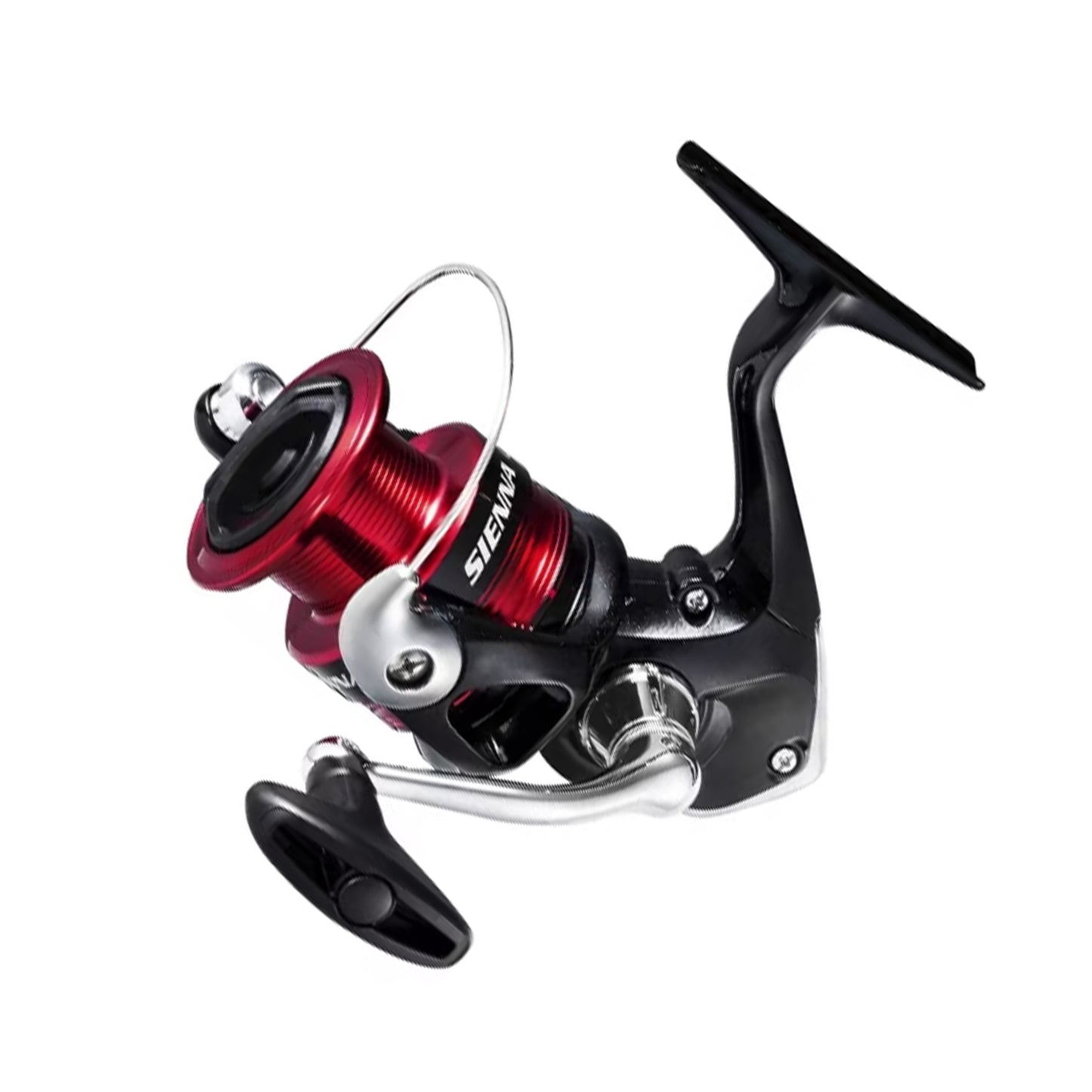The Shimano Sienna FG Spinning Reel C3000HG 5.0:1 by Shimano features a red and black design with a silver handle and "Sienna" on the spool, ideal for freshwater fishing, displayed on a white background.