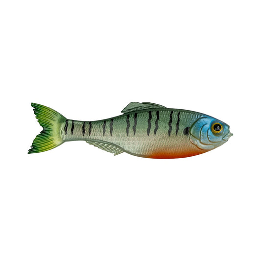 6th Sense 6.5" Panorama - 5 Packs Assorted Colors
