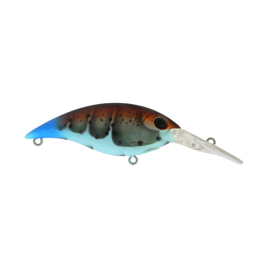 Berkley Money Badger 4 Bundle 6 Pack Assorted Colors