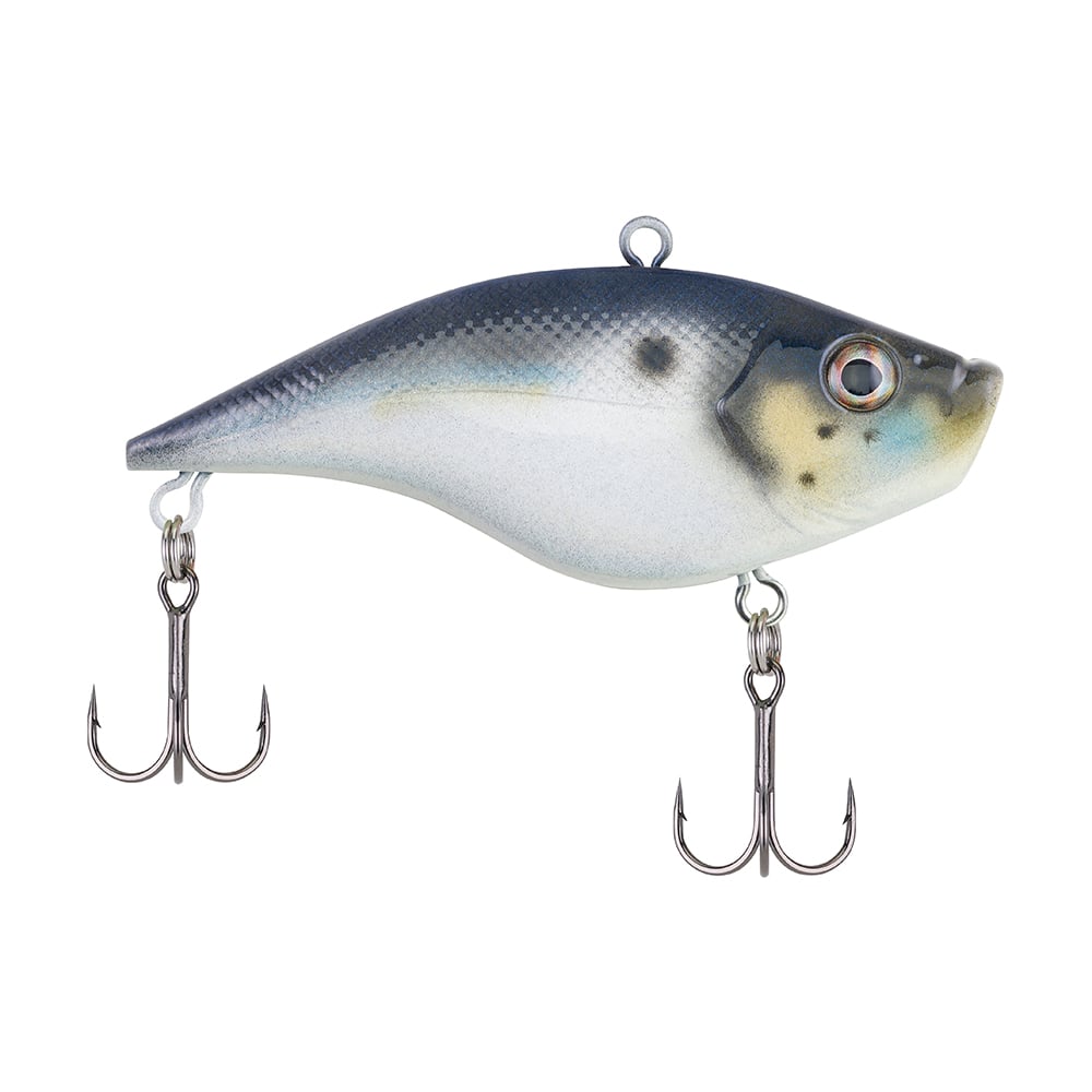Berkley Warpig Lipless Crankbait Blue Back