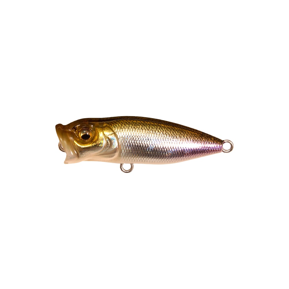 Megabass Baby Pop-X BFS Popper GG Wakasagi