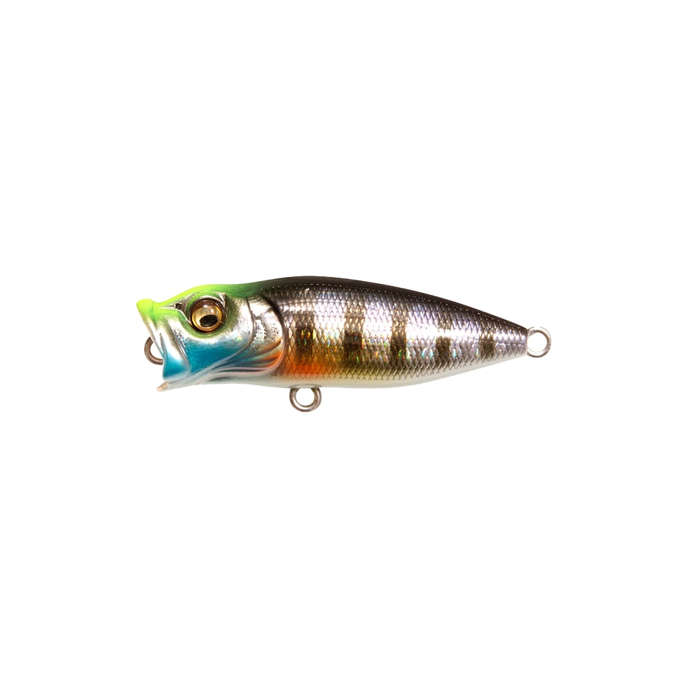 Megabass Baby Pop-X BFS Popper GG Wild Gill