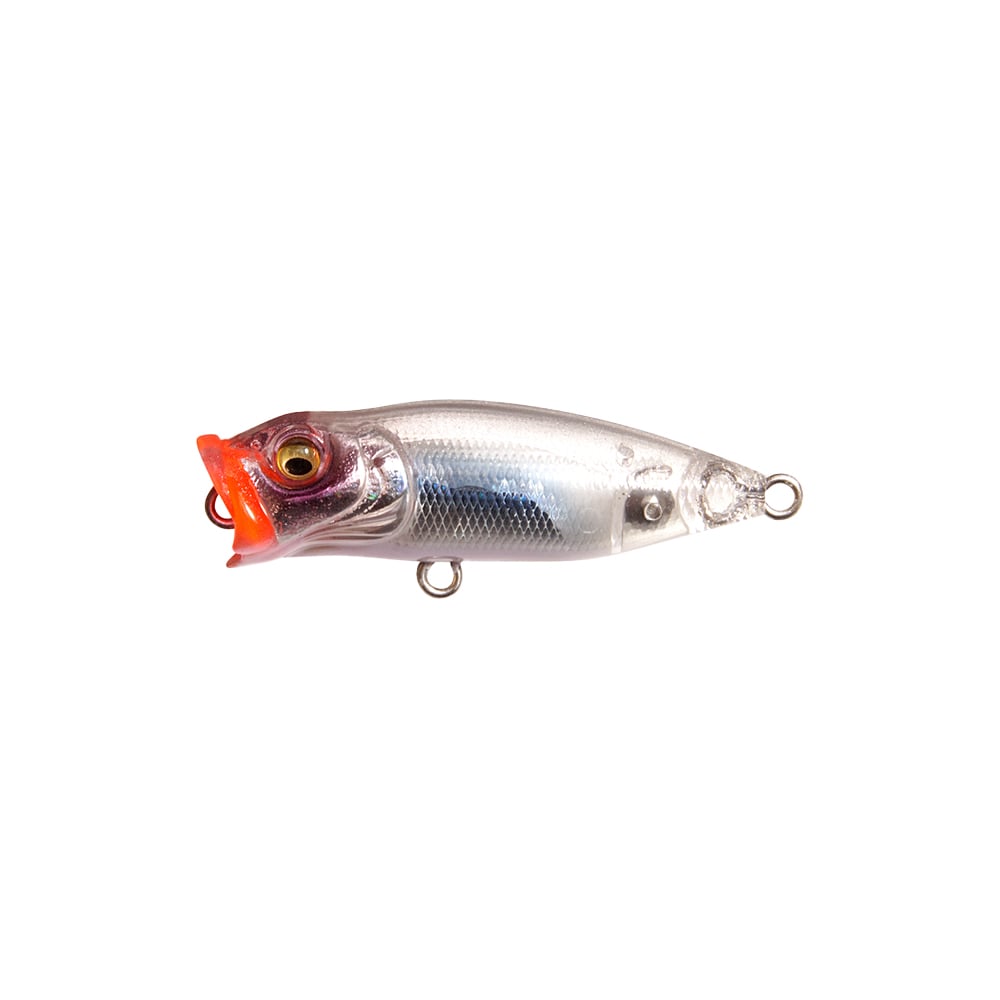 Megabass Baby Pop-X BFS Popper HT Shirasu