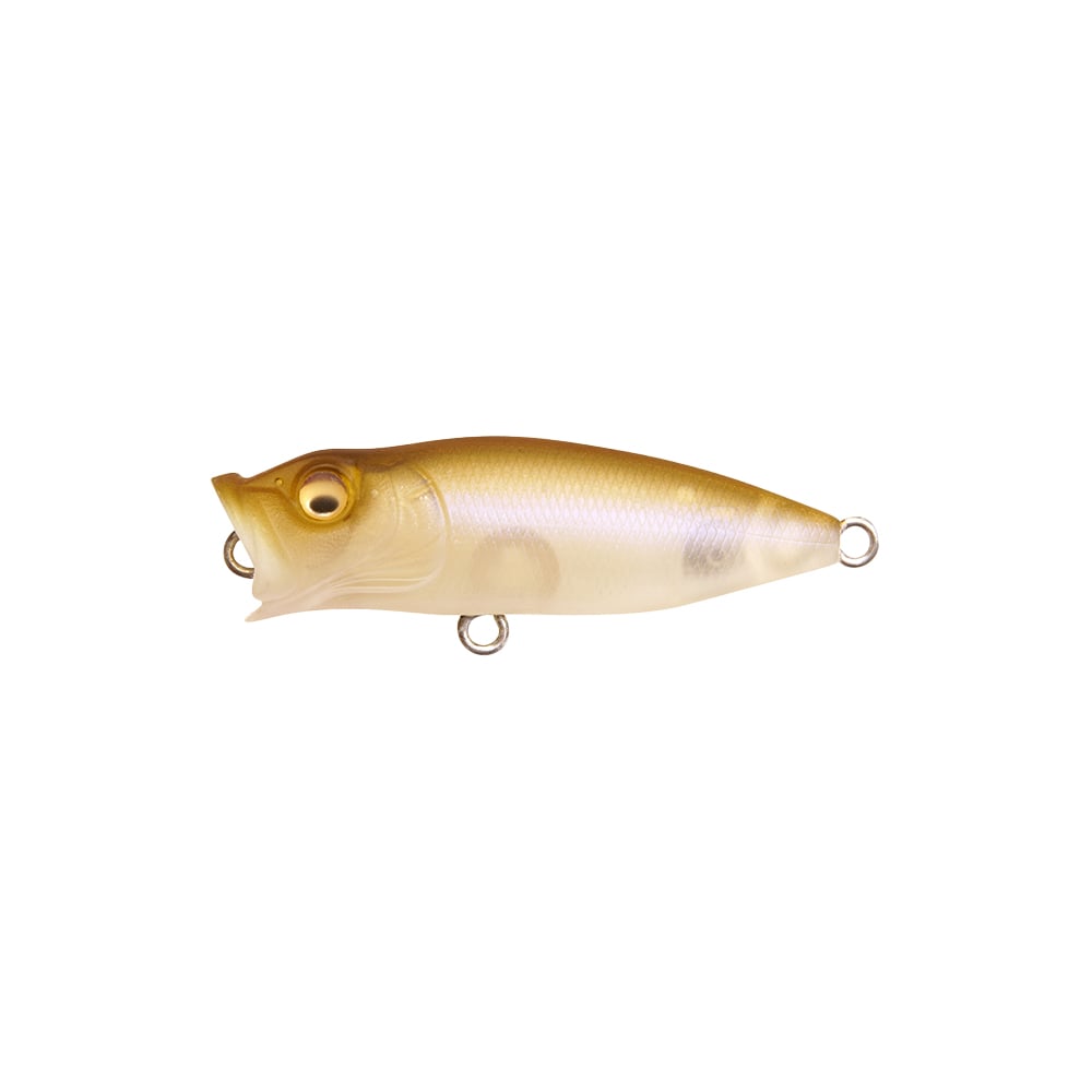 Megabass Baby Pop-X BFS Popper Mat Shad