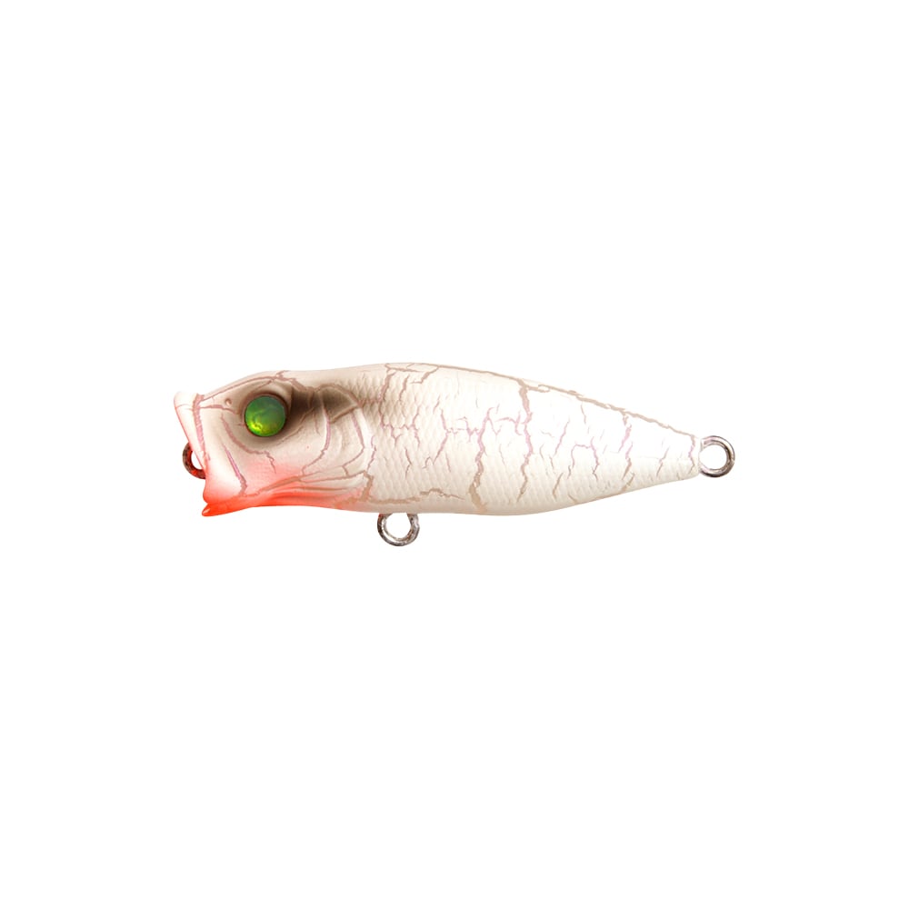 Megabass Baby Pop-X BFS Popper White Butterfly
