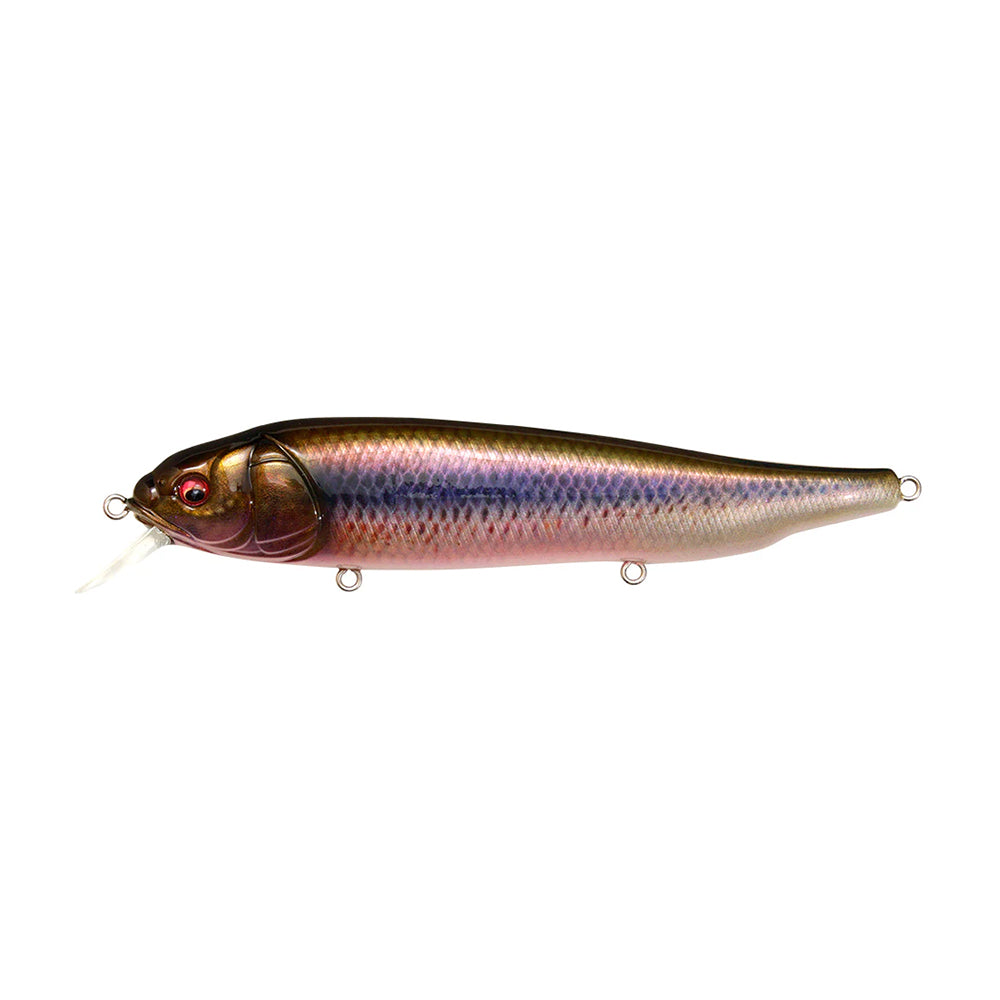 The Megabass Lates Feeding Woofer is a realistic surface minnow fishing lure with a metallic sheen in purple, gold, and red. It features detailed scales, a red eye, and metal loops for attachment, designed to attract fish while angling on water's surface.