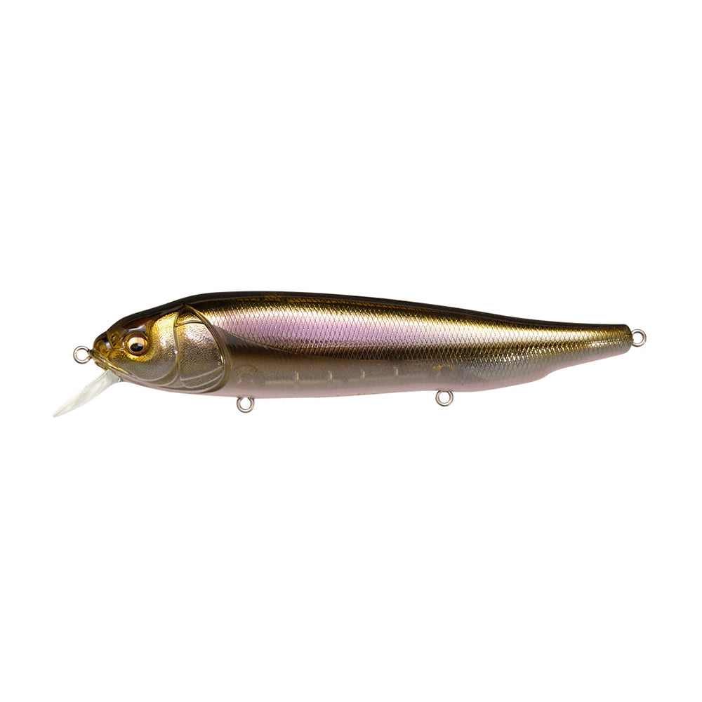 The Megabass Lates Feeding Woofer is a topwater fishing lure from Megabass. It features a realistic surface minnow design with a metallic gold and purple body, detailed scales, and a clear plastic lip for diving. Small metal rings allow easy attachment of fishing line and hooks.