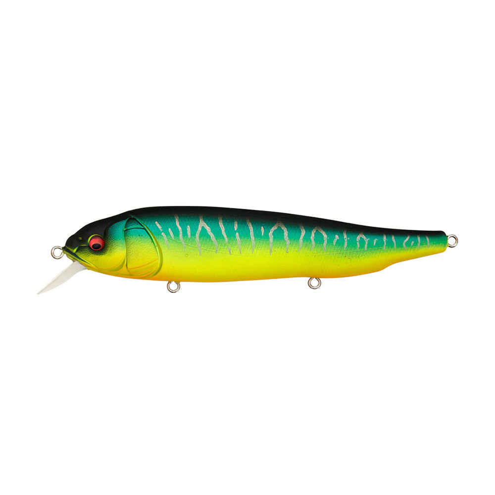 The Megabass Lates Feeding Woofer, a vibrant topwater roller bait, features a blue-green to yellow transition, clear fin, red eyes, and metal loops—ideal for enticing surface minnows.