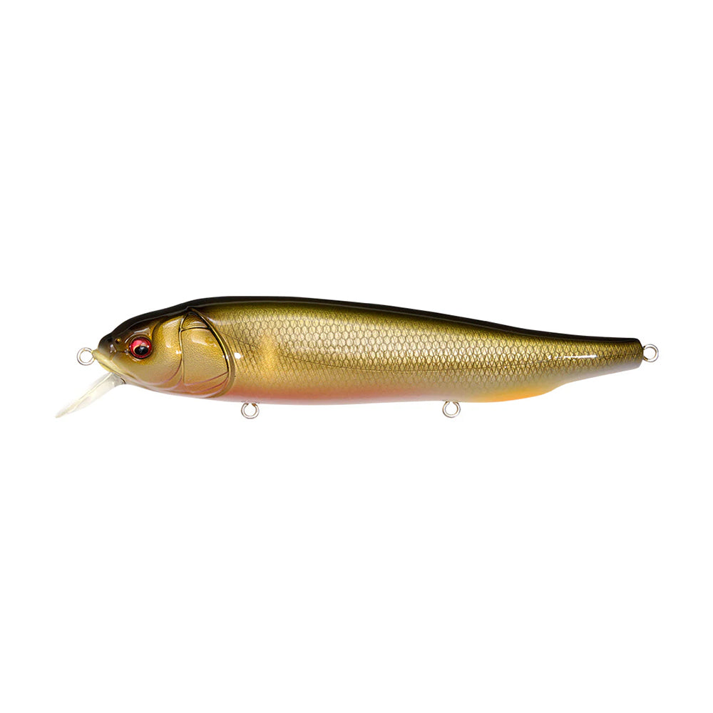 The Megabass Lates Feeding Woofer, a realistic roller bait fishing lure by Megabass, is fish-shaped with a metallic gold body, scales, red eyes, and a transparent lip. Ideal for topwater fishing, it features attachment rings along its body for line and hooks.