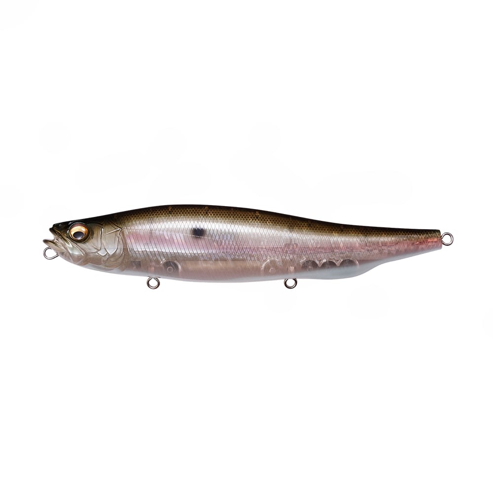 The Megabass Megadog by Megabass is a realistic fish-shaped topwater lure with a dark back, silvery sides, pink and gold accents, large eye, detailed fins, and three metal rings for hooks or fishing line.