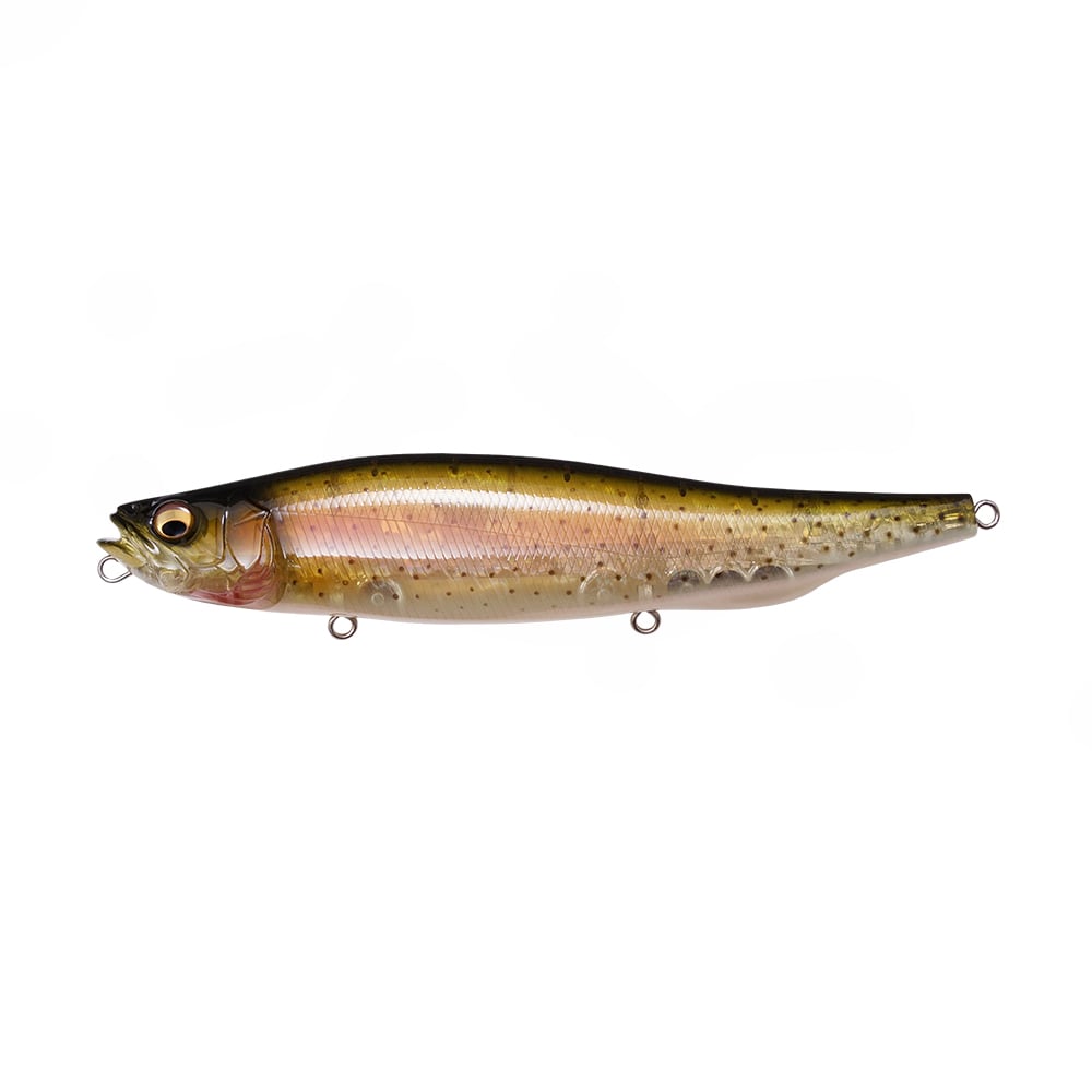 The Megabass Megadog by Megabass is a lifelike, fish-shaped topwater lure featuring a metallic green and gold body, black back, pink gill accents, and detailed eyes—ideal for landing trophy sea bass. Shown on a white background.