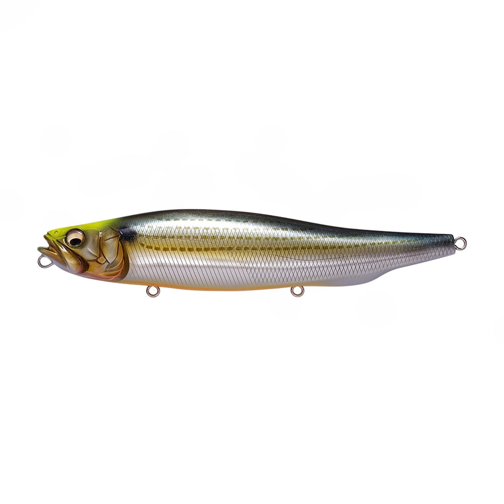 The Megabass Megadog by Megabass is a lifelike topwater bait with a metallic silver body, yellow-green head, detailed scales, and three attachment rings—perfect for enticing big sea bass.