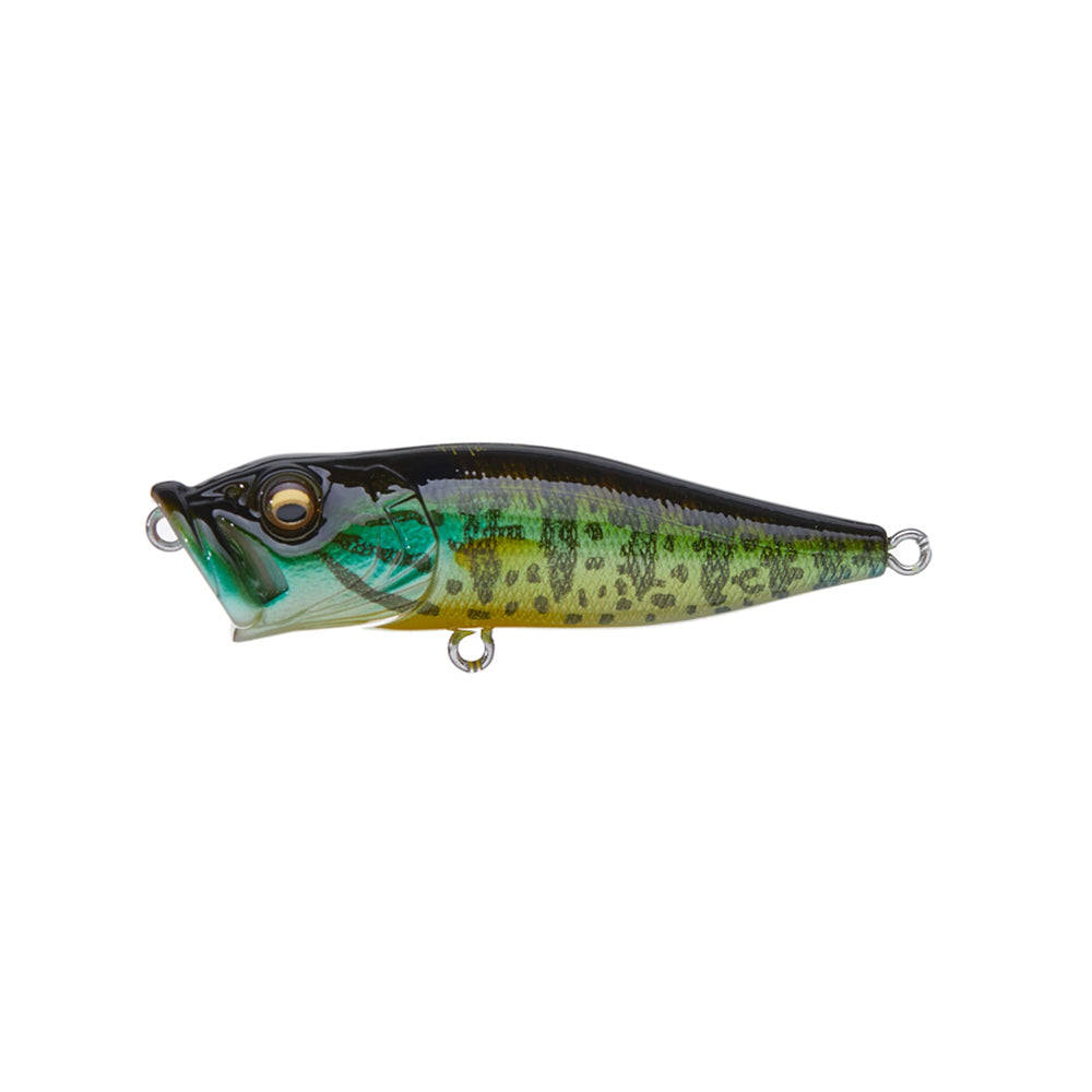 The Megabass Pop-X by Megabass is a colorful fishing lure with a realistic fish design, glossy green, black, and yellow pattern, detailed scales, 3D eyes, patented gill system, curved mouth, and small metal loops on both ends for fishing line attachment.