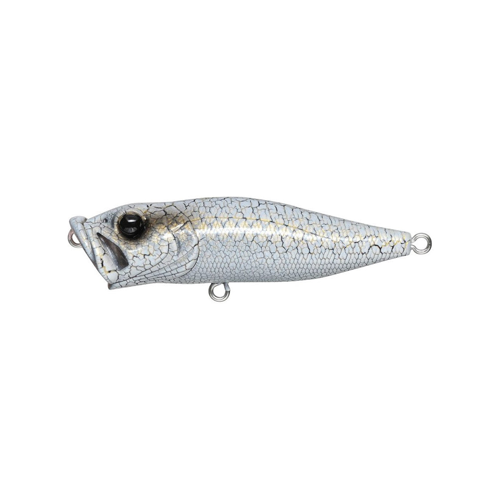 A close-up of a Megabass Pop-X, a fishing lure by Megabass. It mimics a fish with its light gray, scale-like texture and large black eye, equipped with metallic loops for line attachment.