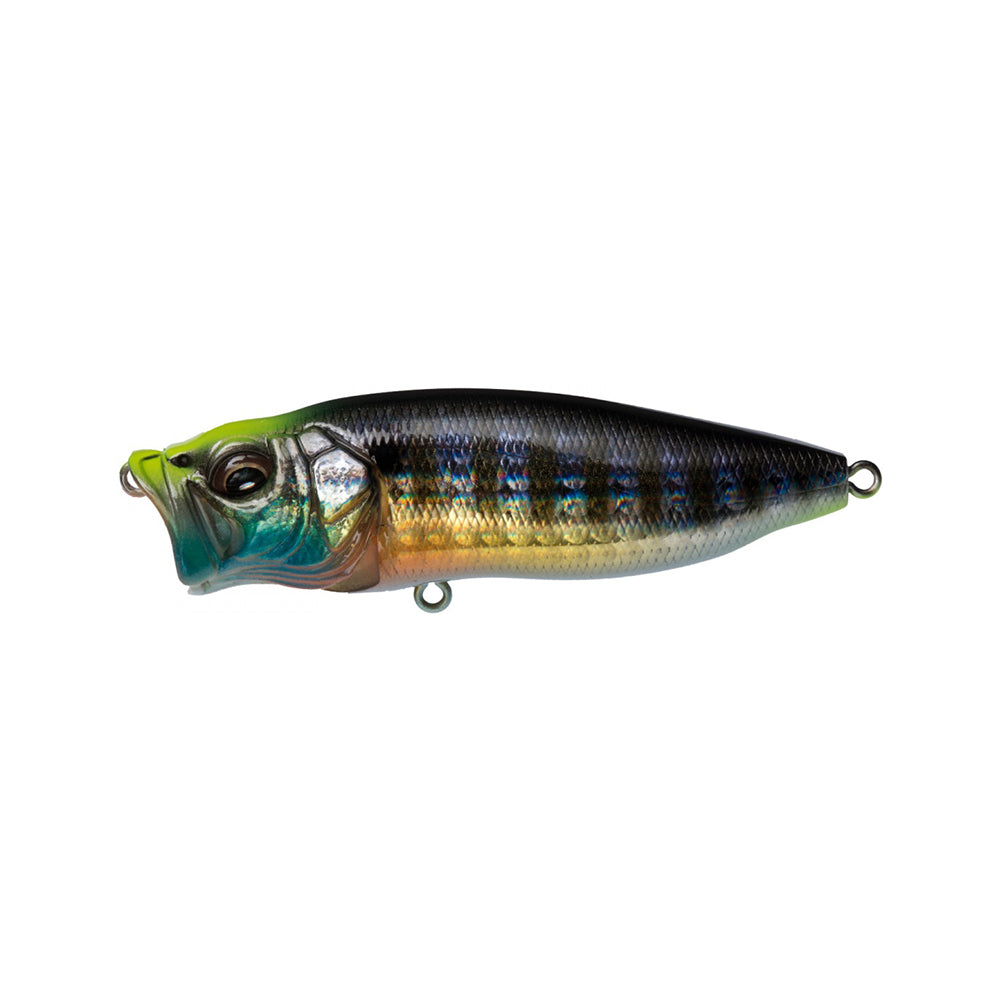 The Megabass PopMax by Megabass is a lifelike topwater lure with metallic green, blue, yellow, and black markings, unique gill system, and metal loops at the mouth and tail for fishing hook attachment.