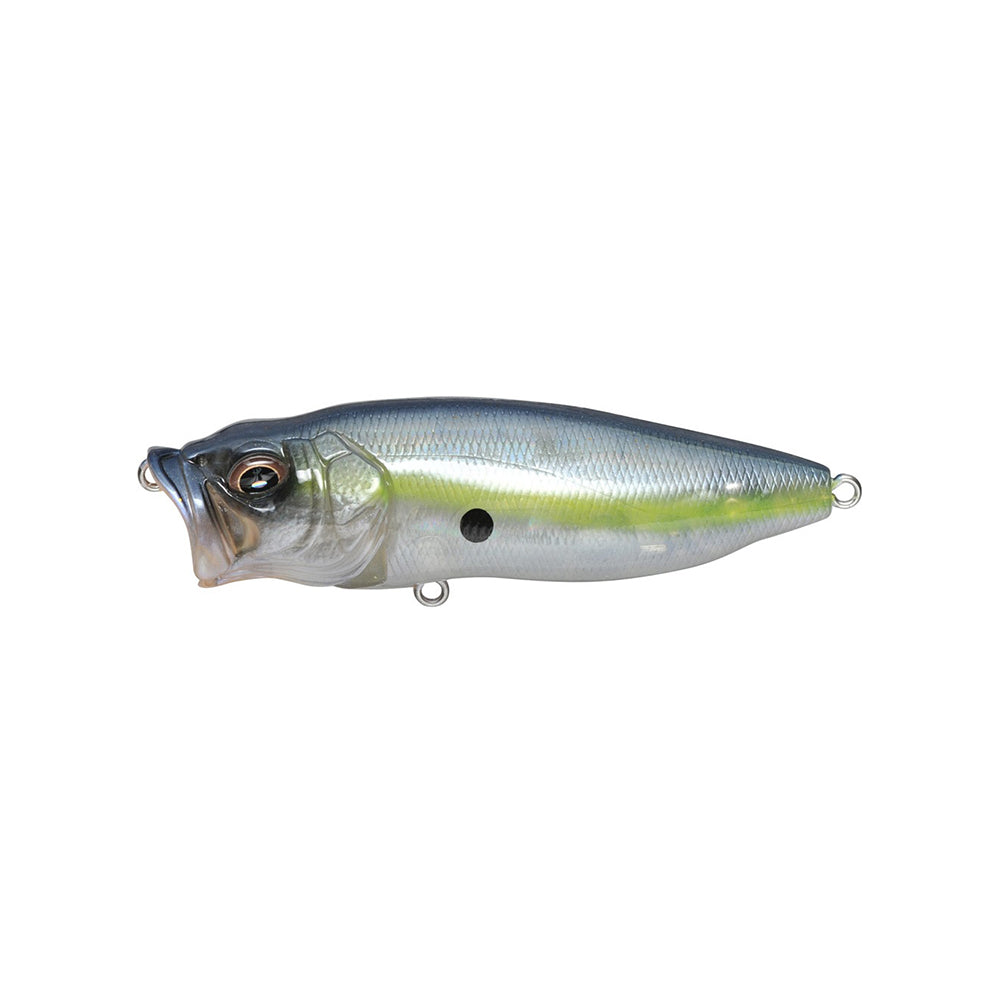 The Megabass PopMax by Megabass is a realistic, shiny topwater lure with a blue-gray back, yellowish sides, lifelike eyes, and metal rings at mouth and tail for easy attachment—featuring the innovative PopMax gill system.