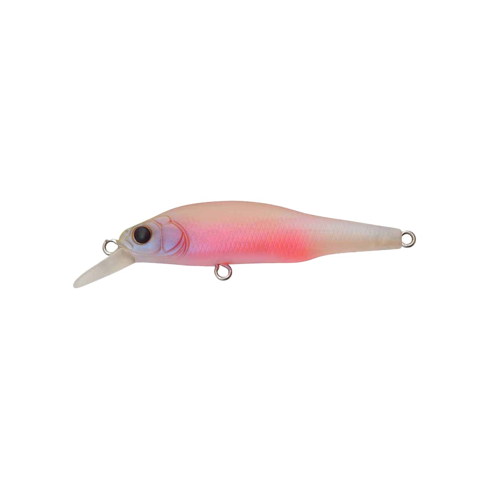 Megabass X-80 Jr. BFS Jerkbait Baby Kingyo