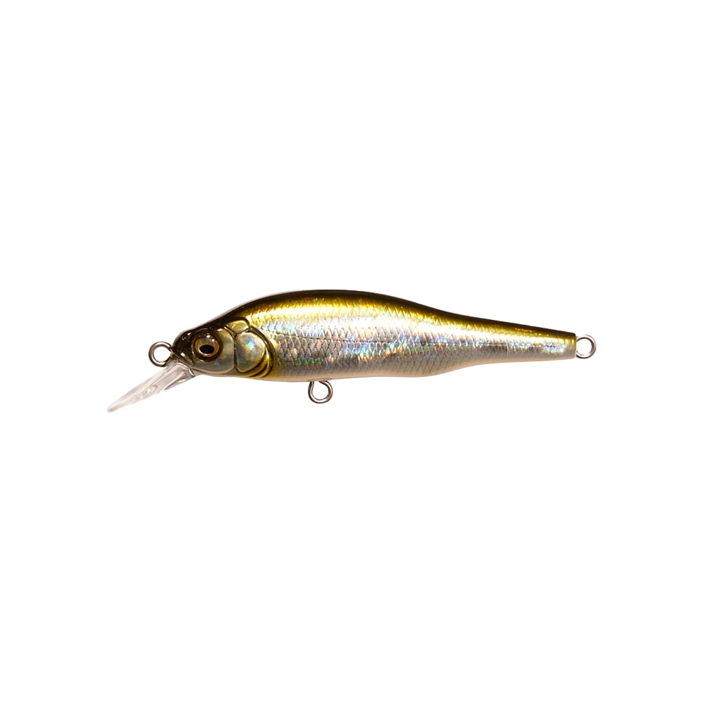 Megabass X-80 Jr. BFS Jerkbait GG Shad