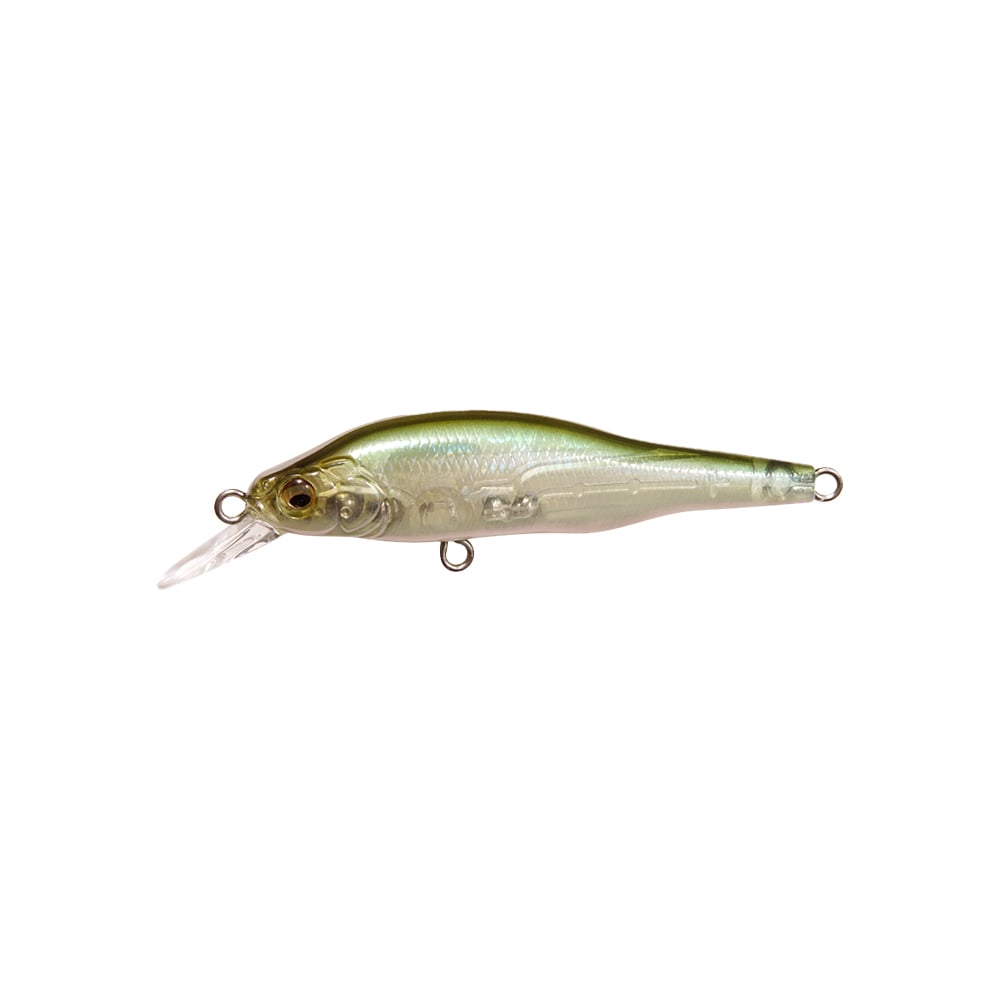 Megabass X-80 Jr. BFS Jerkbait GP Pro Green