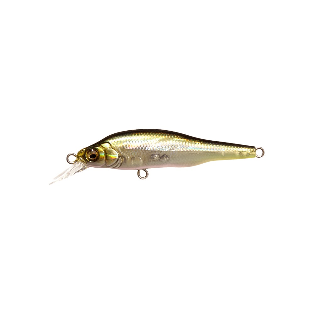 Megabass X-80 Jr. BFS Jerkbait HT Ito Tennessee Shad