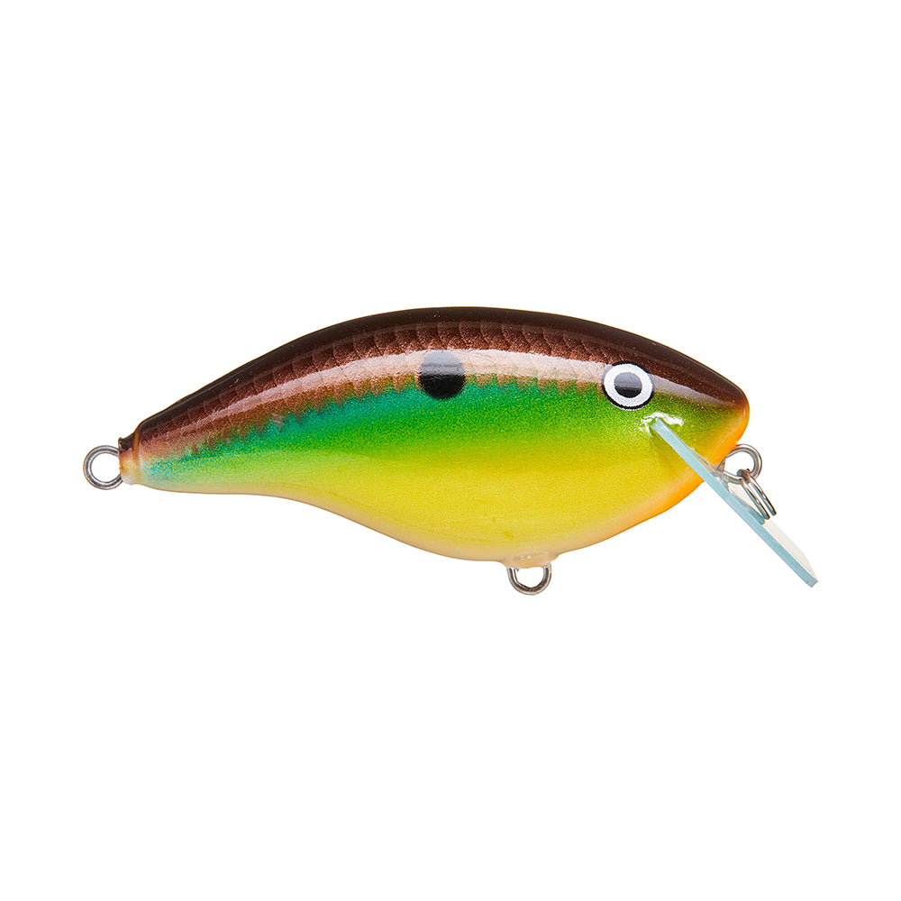 The Rapala OG Big Rocco 6 Crankbait by Rapala is a colorful balsa fishing lure shaped like a small fish, featuring a brown top, green and yellow sides, black dot, white eye, and a clear circuit board lip on a white background.
