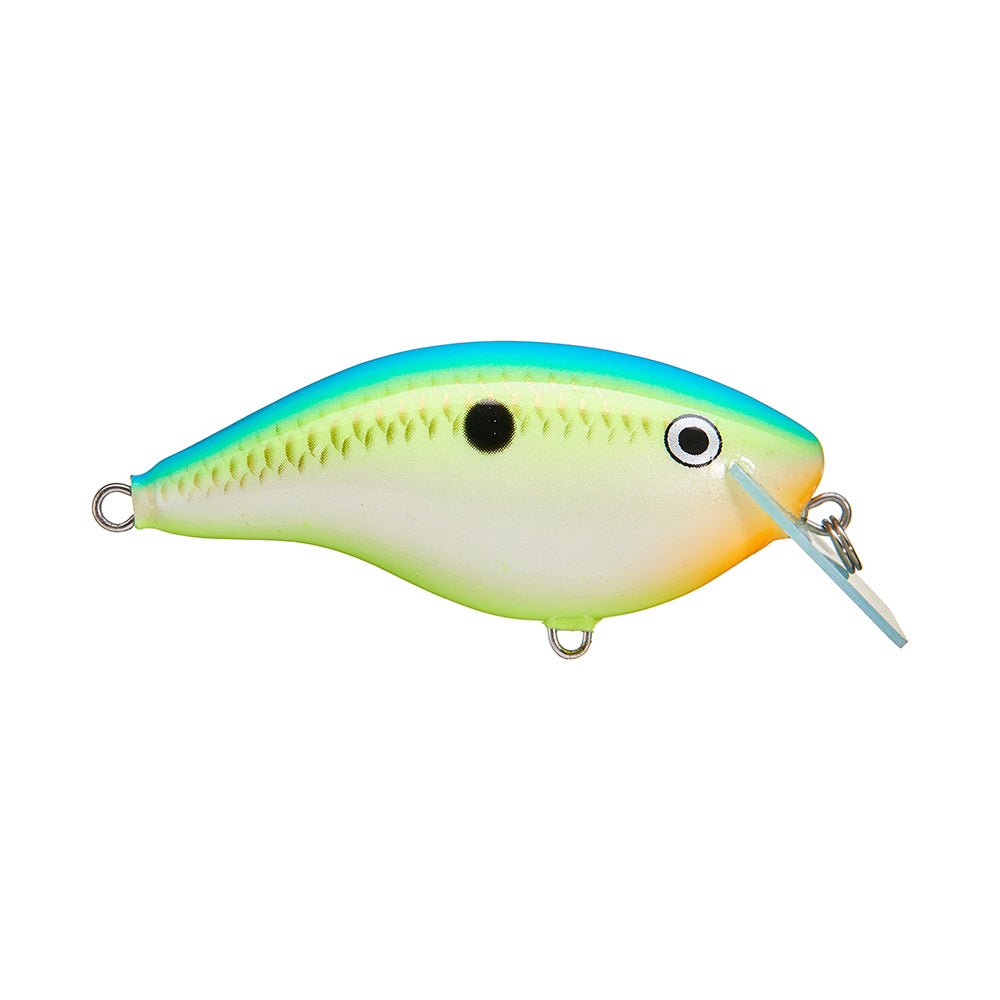 The Rapala OG Big Rocco 6 Crankbait by Rapala is a balsa fishing lure shaped like a small fish, featuring a blue back, green sides, white belly, black head dot, circuit board lip, and metal rings for hooks or line.