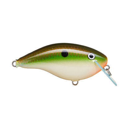 The Rapala OG Big Rocco 6 Crankbait by Rapala is a fish-shaped lure with a green and brown back, white belly, black spot near the eye, and a circuit board lip at the front.