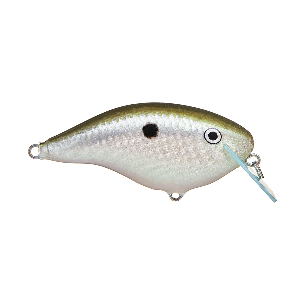 The Rapala OG Big Rocco 6 Crankbait is a silver and olive-green lure shaped like a small fish, with a black spot, realistic eye, and Rapala’s signature circuit board lip for precise diving action.