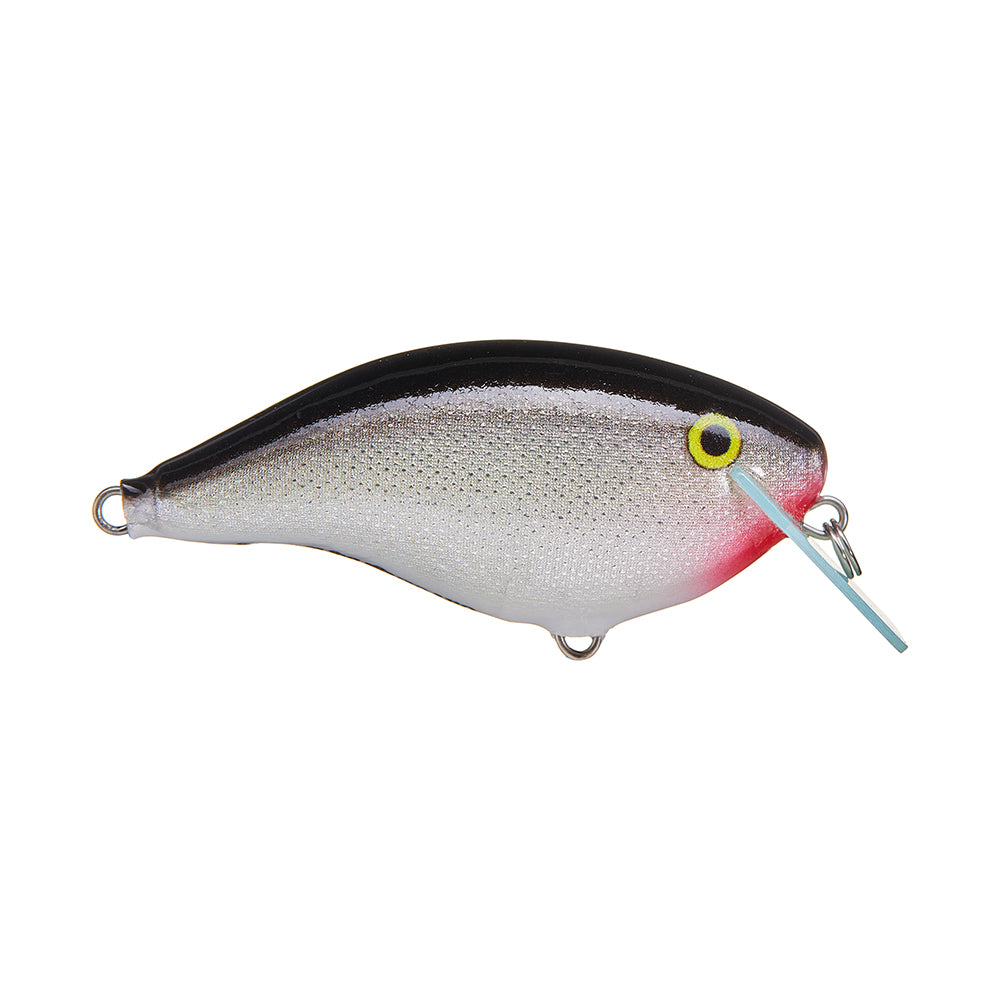 The Rapala OG Big Rocco 6 Crankbait by Rapala is shaped like a small fish, with a black back, silver sides, red gill area, yellow eye, and a circuit board lip for realistic diving action.