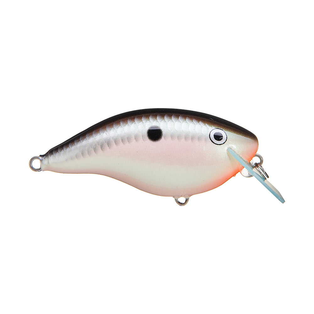 A silver and black, fish-shaped crankbait with a round black eye, a small side spot, and a circuit board lip for diving—like the Rapala OG Big Rocco 6 Crankbait by Rapala.