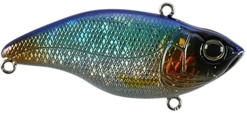 The SPRO Aruku Shad Lipless Crankbaits is a shiny, multicolored fish-shaped lure with a blue-to-green gradient on the upper body and gold tones below. It has an intricate scale pattern, realistic eye, and three metal loops for Gamakatsu treble hooks.