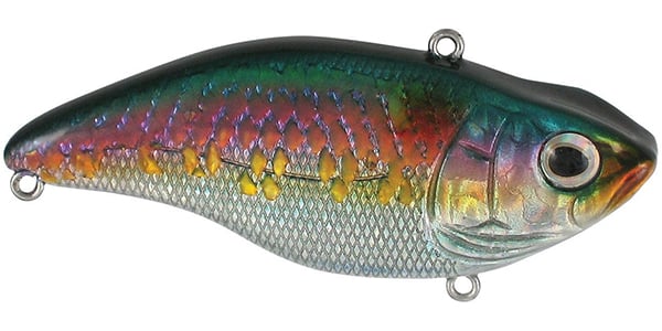 Introducing the SPRO Aruku Shad Lipless Crankbaits, vibrant fish-shaped lures with a metallic finish featuring gradients of green, purple, and orange over silver scales. Equipped with Gamakatsu treble hooks and intricate detailing for an unbeatable fishing experience.