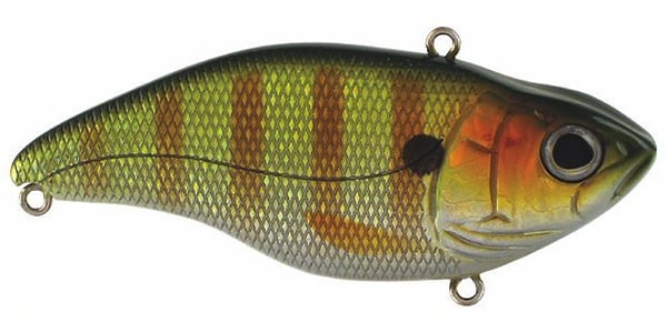The SPRO Aruku Shad Lipless Crankbait by SPRO is a fish-shaped lure with vibrant, scaled patterns that mimic natural colors. Equipped with Gamakatsu treble hooks and metal rings, it's ideal for enhancing any angler's tackle box.