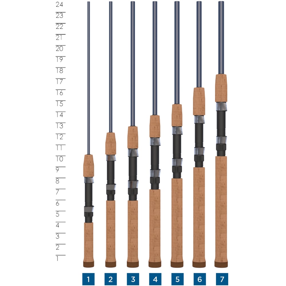 A lineup of seven St. Croix Triumph Spinning Rod 6'0” Medium (TSR60MF) fishing rods stands vertically, labeled 1 to 7, with a ruler from 8 to 24 in the background for easy height comparison.