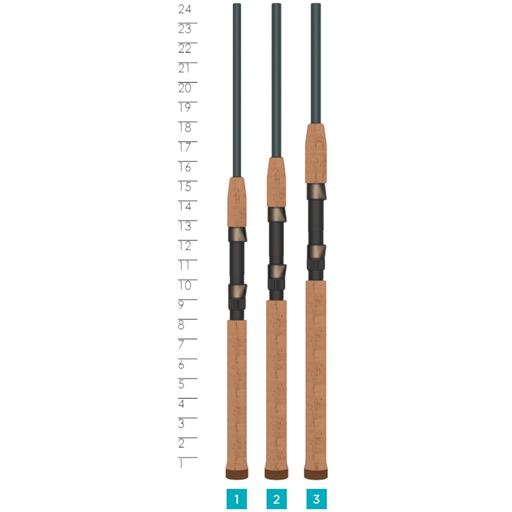 Three St. Croix Triumph Inshore Spinning Rod 7'6” Medium Heavy | TRIS76MHF handles with cork grips stand vertically side by side, numbered 1–3, beside a ruler marked 1–24. These rods feature premium SCII carbon blanks.