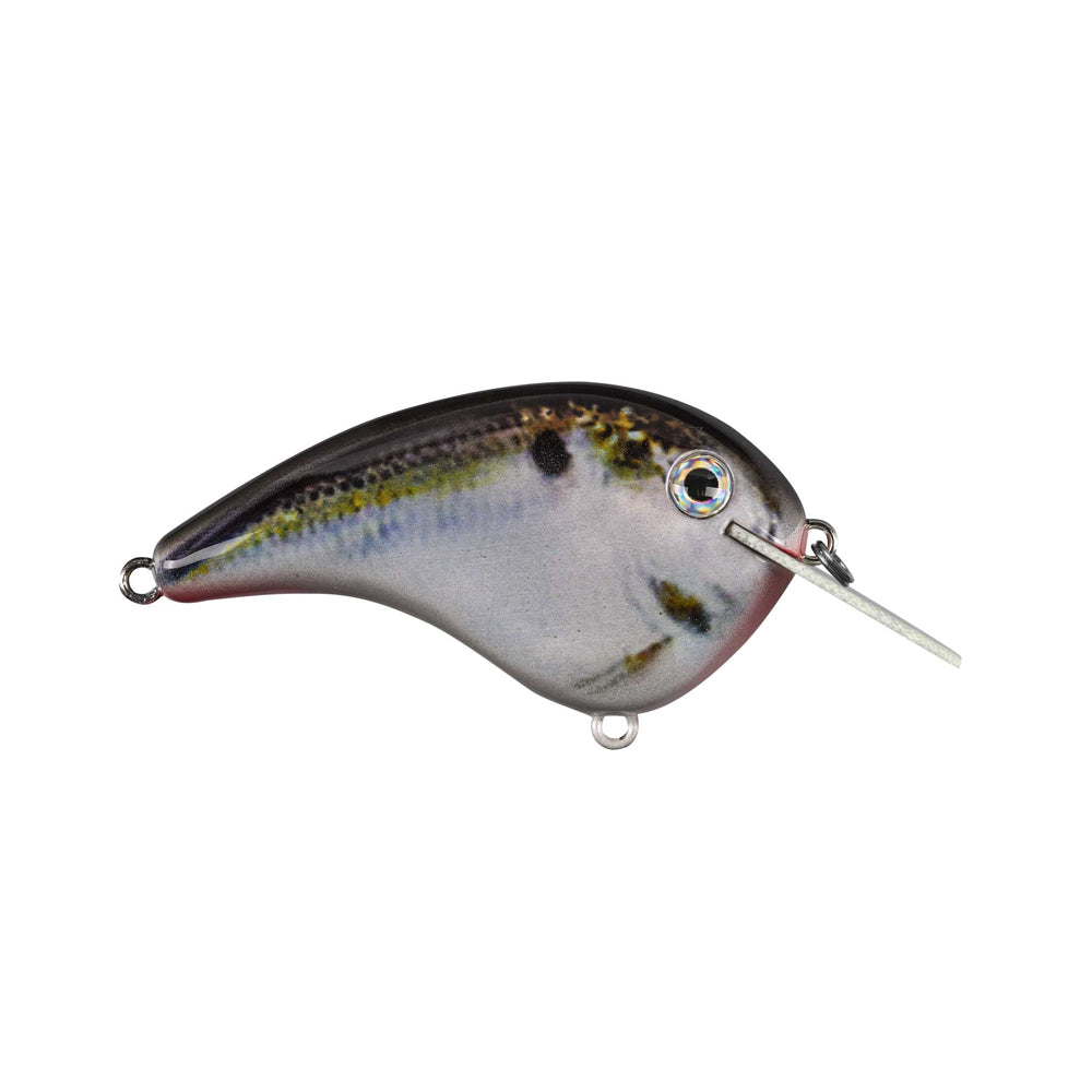The Strike King Chick Magnet Flatside Crankbait is a fish-shaped lure with a shiny, scale-like surface and small metal lip for diving, reminiscent of a Strike King flat-sided crankbait. It includes an eyelet at the top and bottom for attaching lines and hooks.