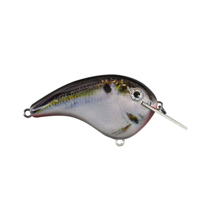 The Strike King Chick Magnet Flatside Crankbait is a fish-shaped lure with a shiny, scale-like surface and small metal lip for diving, reminiscent of a Strike King flat-sided crankbait. It includes an eyelet at the top and bottom for attaching lines and hooks.