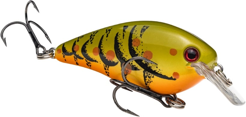 A close-up of the Strike King KVD Squarebill Crankbait by Strike King, perfect for shallow water fishing, featuring a green and orange body with black stripes, red spots, silver hooks, and a clear plastic diving lip.