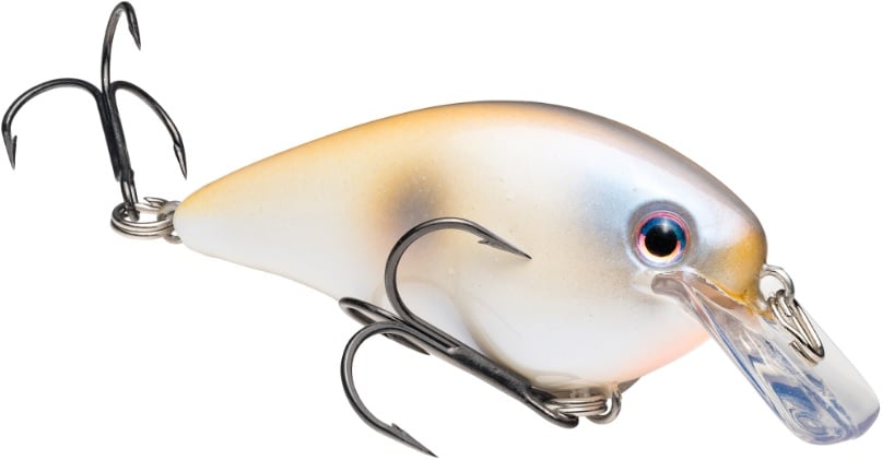 A close-up of the Strike King KVD Squarebill Crankbait by Strike King, perfect for shallow water fishing, with a white and gold body, black eye, clear plastic lip, and three sharp treble hooks on its underside and tail.
