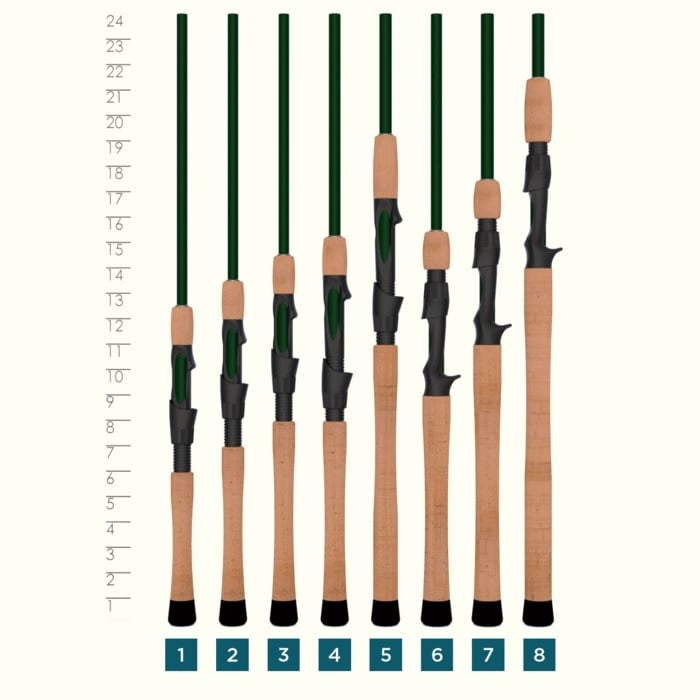 Eight St. Croix Legend Elite 6'3" Medium Light Spinning Rods (ES63MLXF) with cork handles and green shafts stand in a row, numbered 1 to 8 by height, while a vertical ruler on the left displays their length differences.