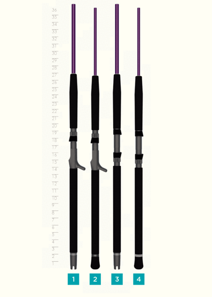 Four fishing rods stand upright before a height ruler, labeled 1–4 left to right, highlighting their varied handles and reel seats; included is the St. Croix Mojo Jig 5'8" Extra Heavy Conventional Rod (MJJC58XHMF) built for saltwater jigging.