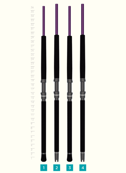 Four black and purple St. Croix Mojo Salt 6'6" Heavy Conventional Rods (MSWC66HF) stand upright in a row against a 10–36 inch height chart, each labeled 1 to 4 at the base. Each is made with premium SCII graphite by St. Croix.
